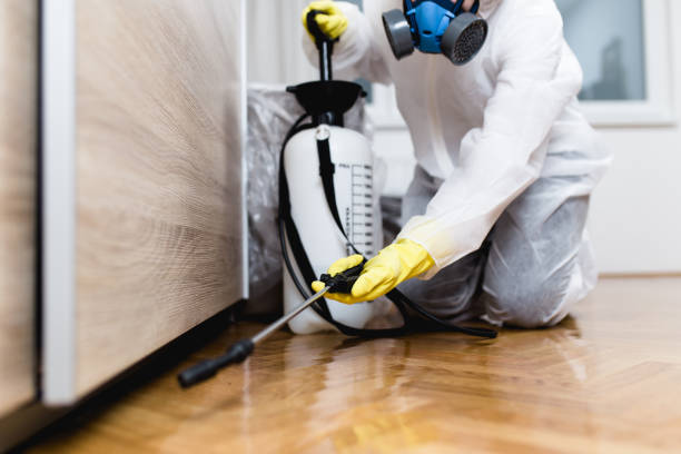 Best Pest Control Near Me  in Canterwood, WA