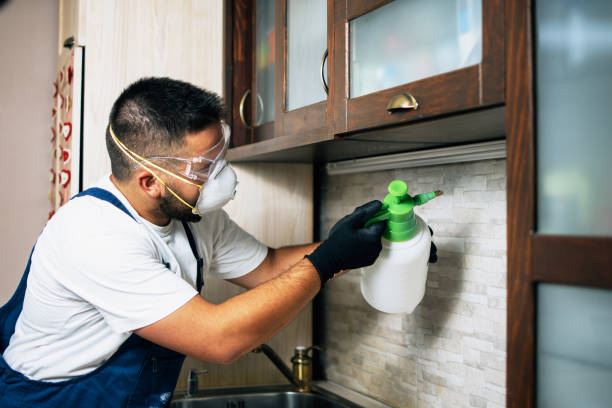 Best Insect Control  in Canterwood, WA