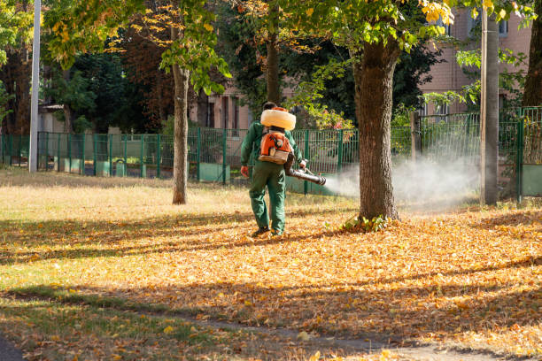 Best Affordable Pest Control Services  in Canterwood, WA