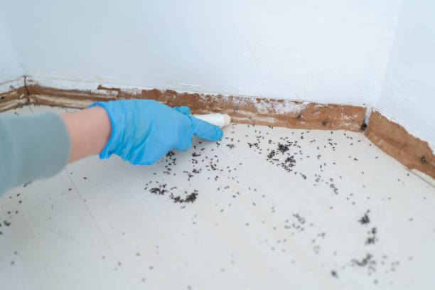 Best Pest Inspection Near Me  in Canterwood, WA